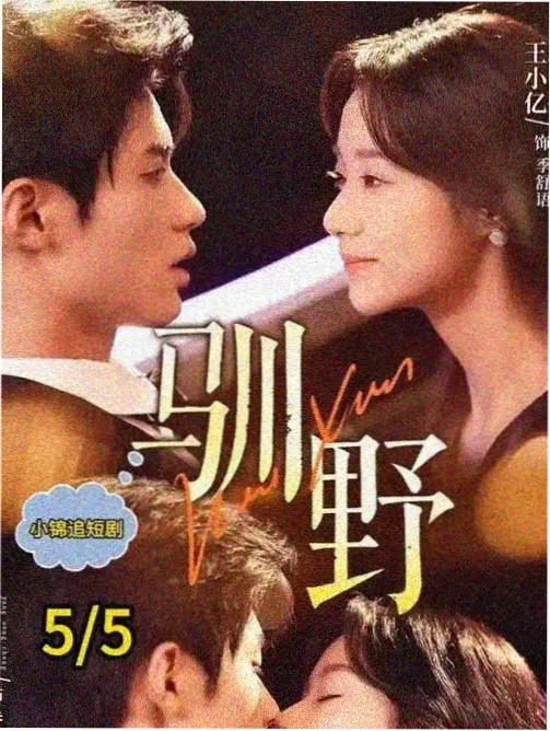 热播剧集更新节奏说明配图